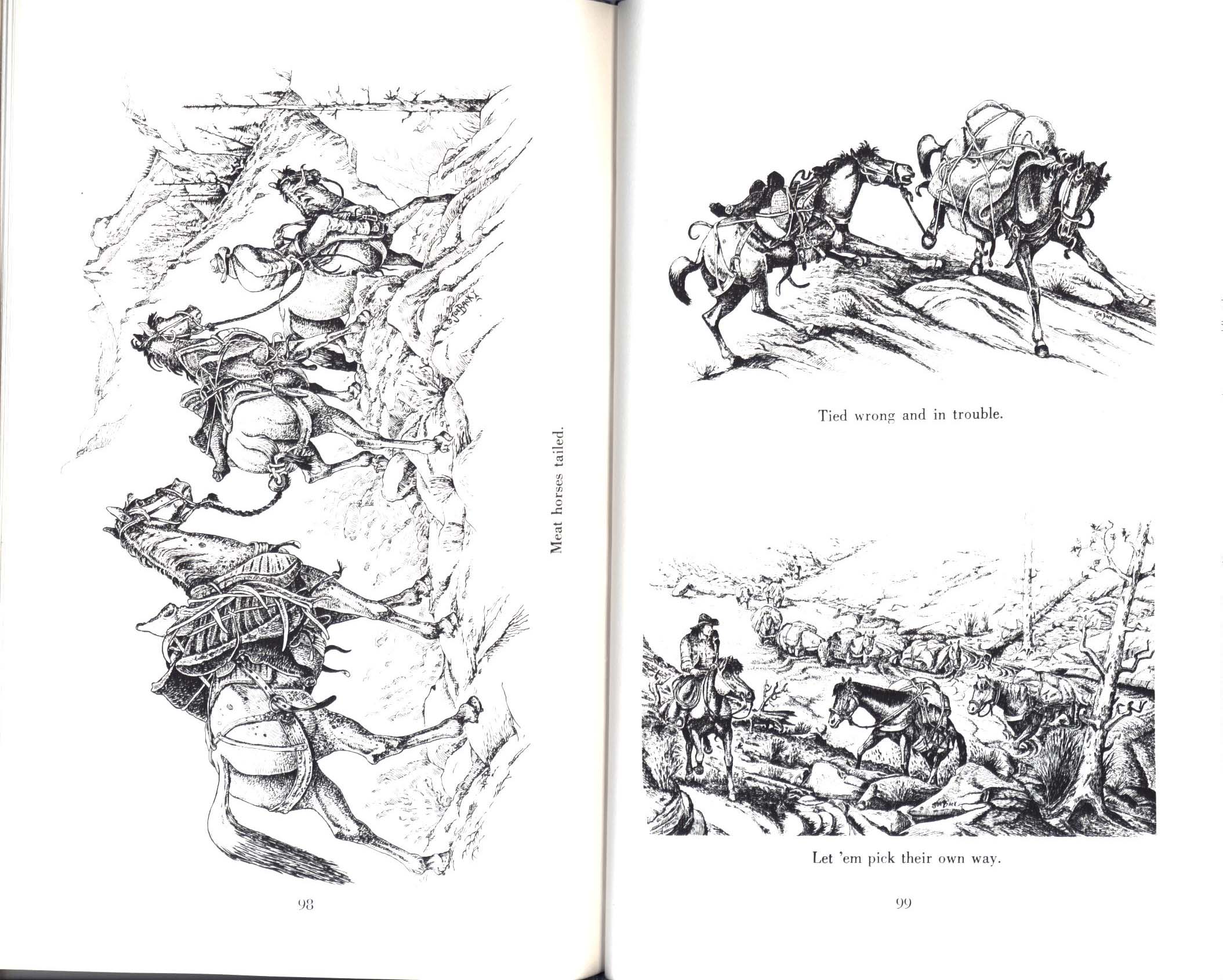 HORSES, HITCHES&nbsp;& ROCKY TRAILS: "the packer's bible". john1669k